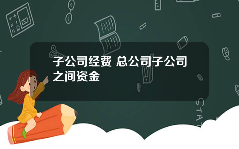 子公司经费 总公司子公司之间资金